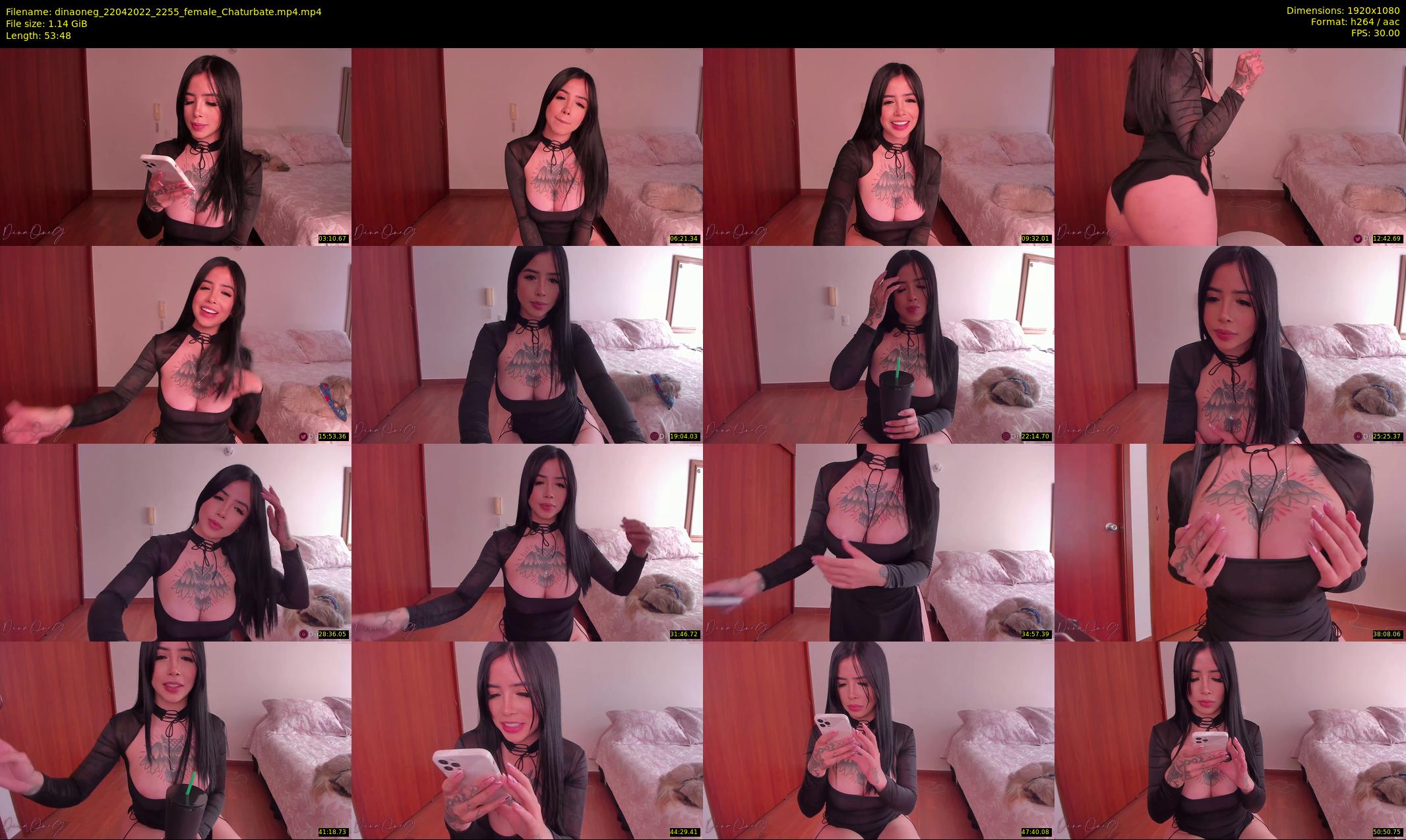 dinaoneg — 54 minute Chaturbate female cam show recording, 1080p, Apr 22, 2022