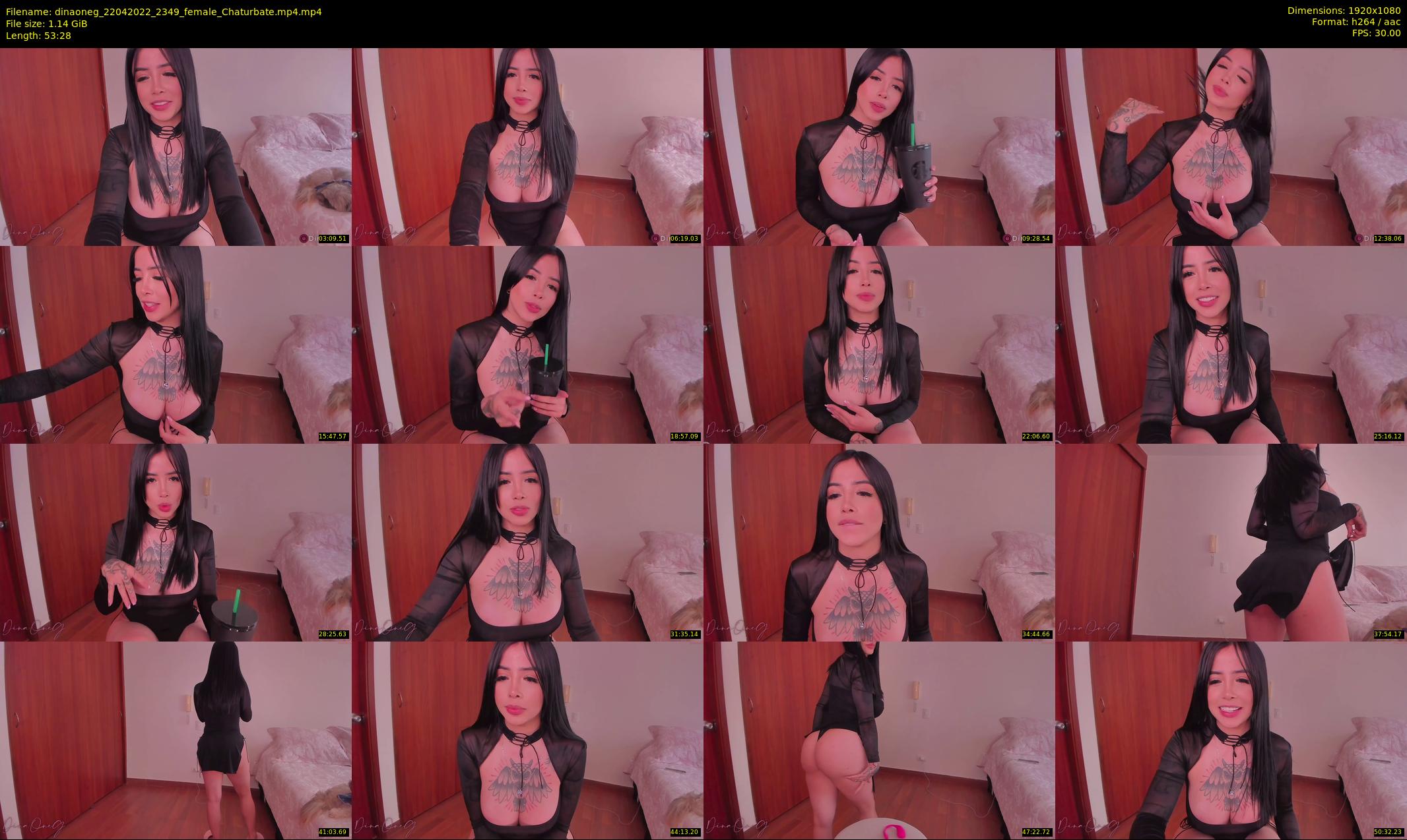 dinaoneg — 54 minute Chaturbate female cam show recording, 1080p, Apr 22, 2022