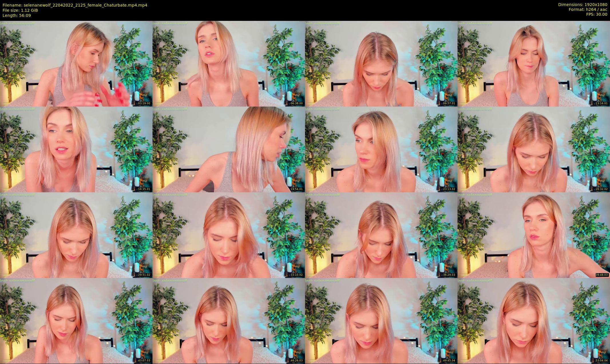 selenanewolf — 57 minute Chaturbate couple cam show recording, 1080p, Apr 22, 2022