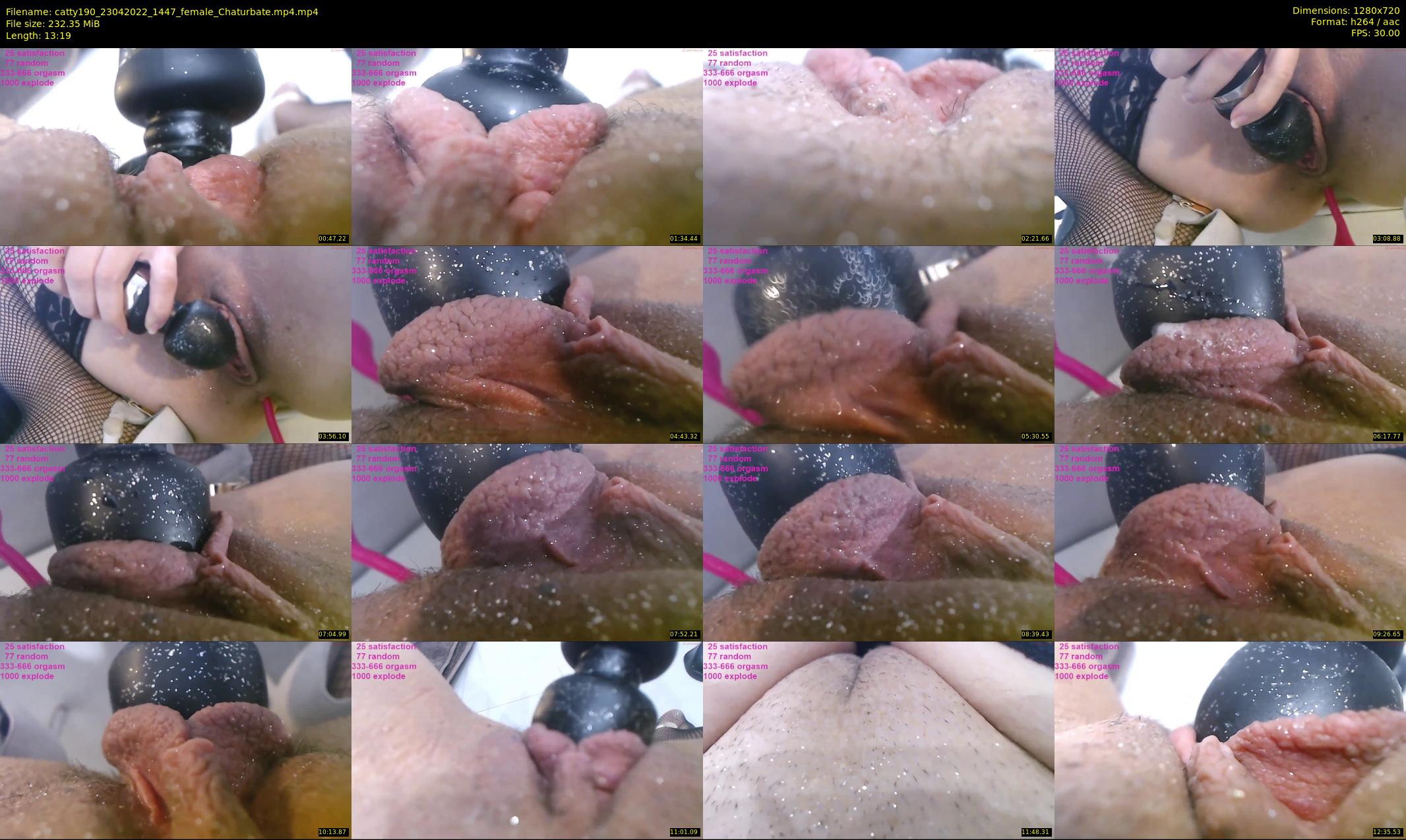 catty190 — 14 minute Chaturbate female cam show recording, 720p, Apr 23, 2022