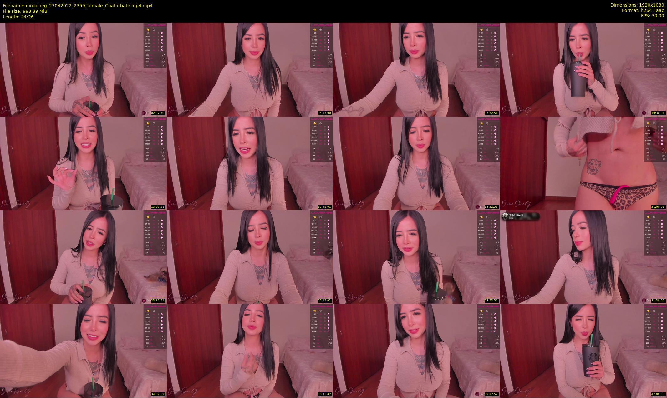 dinaoneg — 45 minute Chaturbate female cam show recording, 1080p, Apr 23, 2022