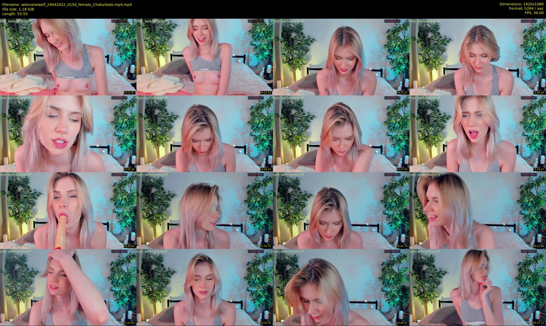 selenanewolf — 54 minute Chaturbate couple cam show recording, 1080p, Apr 24, 2022
