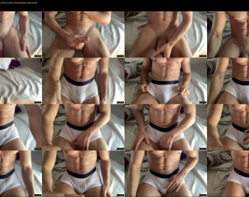bestdick1991 — 19 minute Chaturbate male cam show recording, 720p, Apr 24, 2022