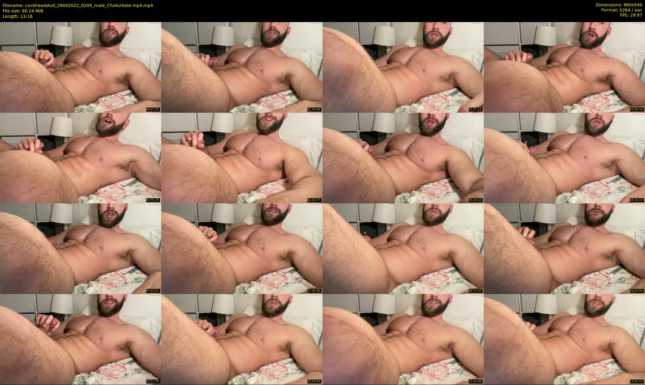 cockheadstud — 14 minute Chaturbate male cam show recording, 480p, Apr 28, 2022