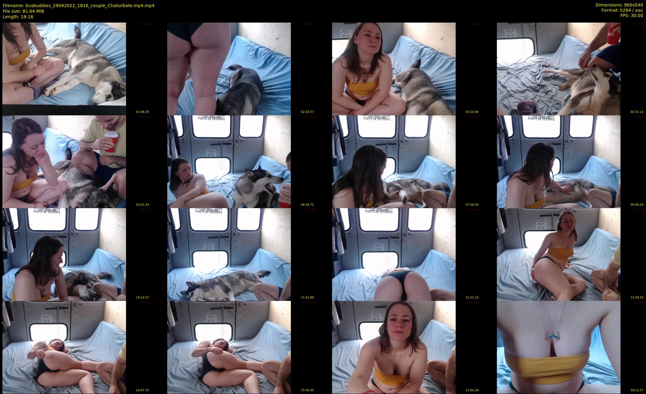 busbuddies — 20 minute Chaturbate couple cam show recording, 480p, Apr 29, 2022