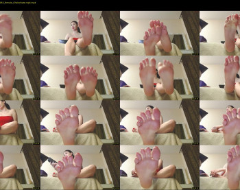 black_alex_ — 11 minute Chaturbate couple cam show recording, 480p, May 2, 2022