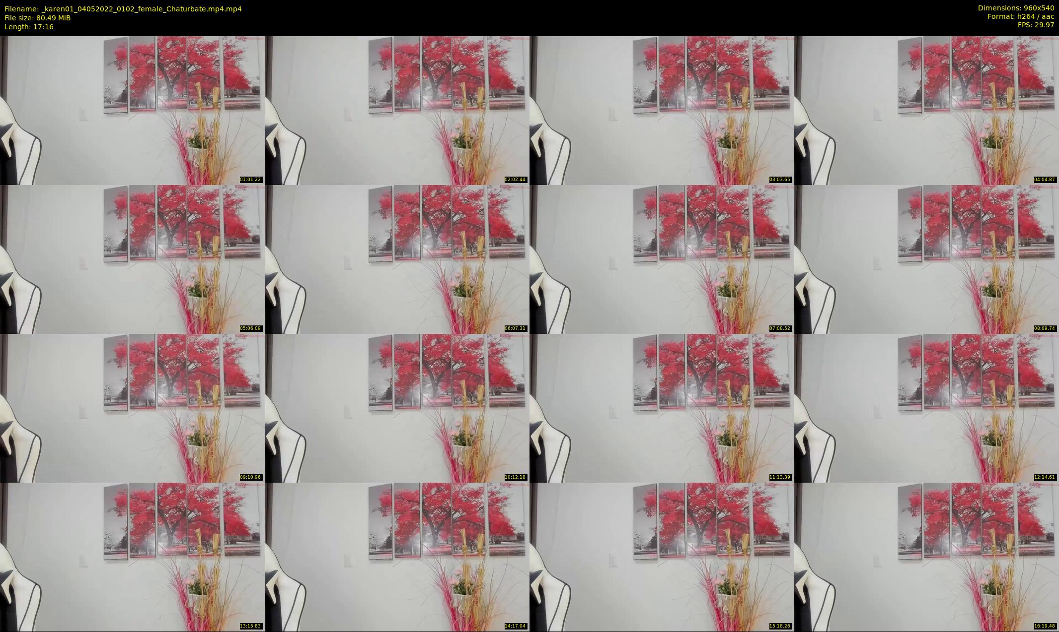 _karen01 — 18 minute Chaturbate female cam show recording, 480p, May 4, 2022
