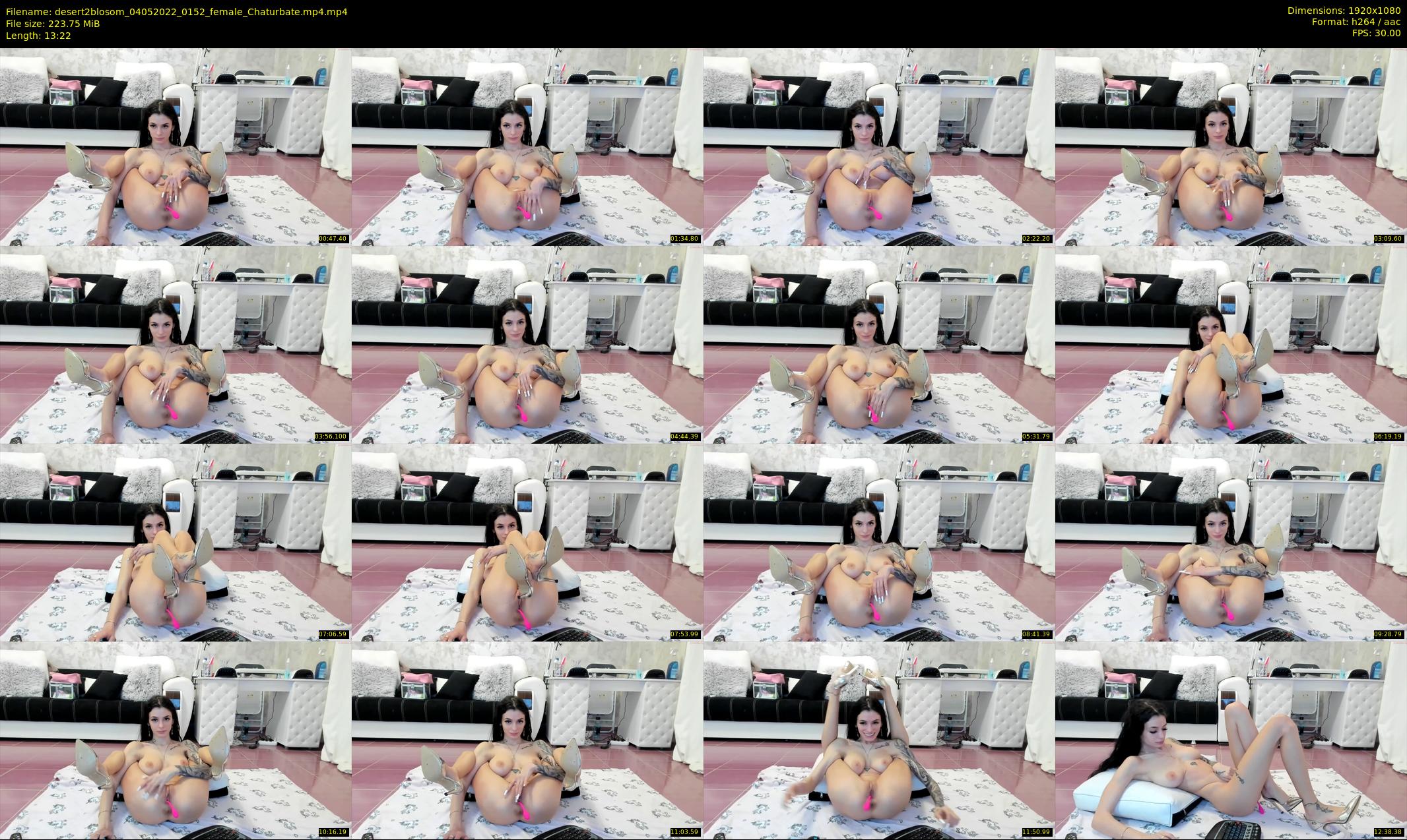 desert2blosom — 14 minute Chaturbate female cam show recording, 1080p, May 4, 2022