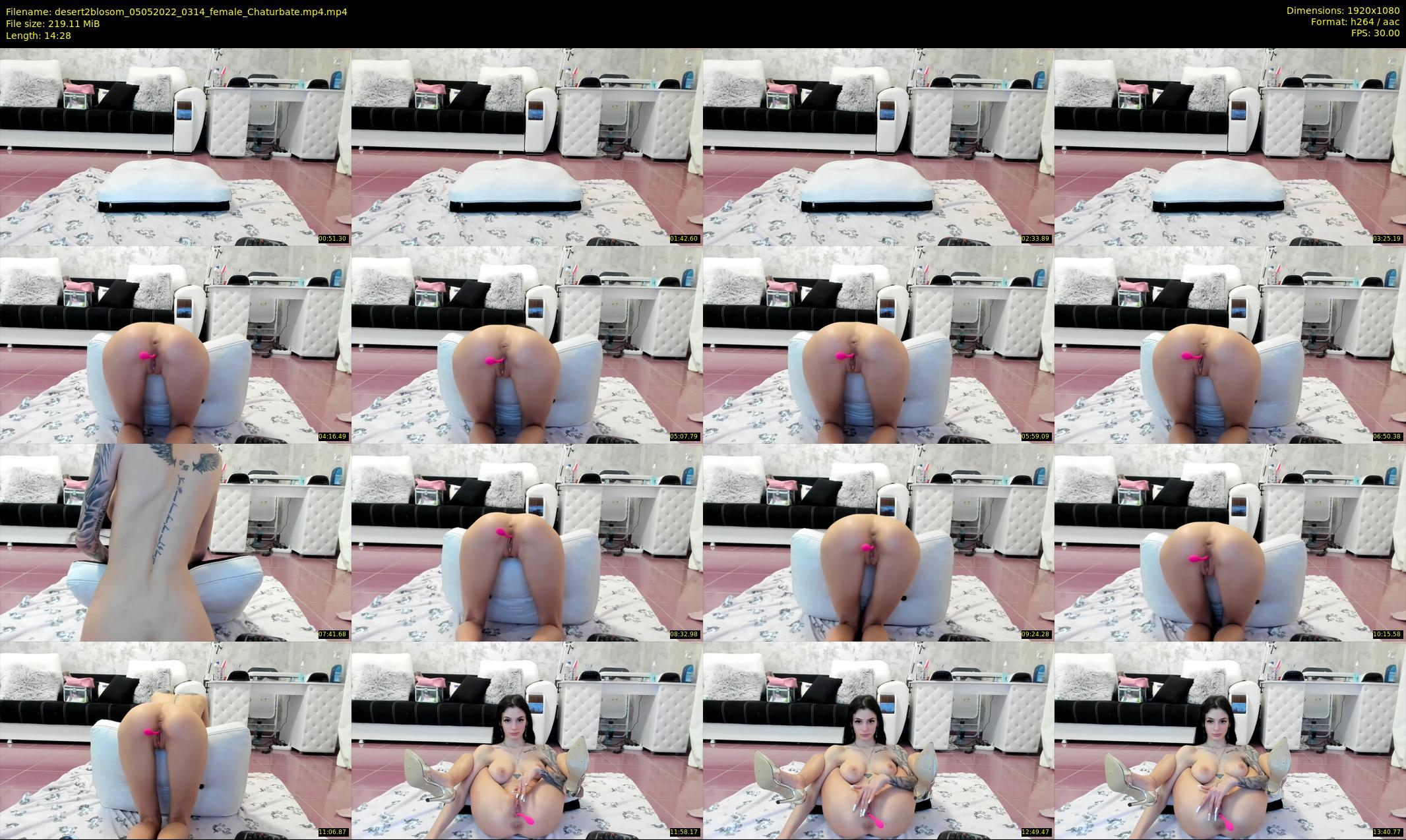 desert2blosom — 15 minute Chaturbate female cam show recording, 1080p, May 5, 2022