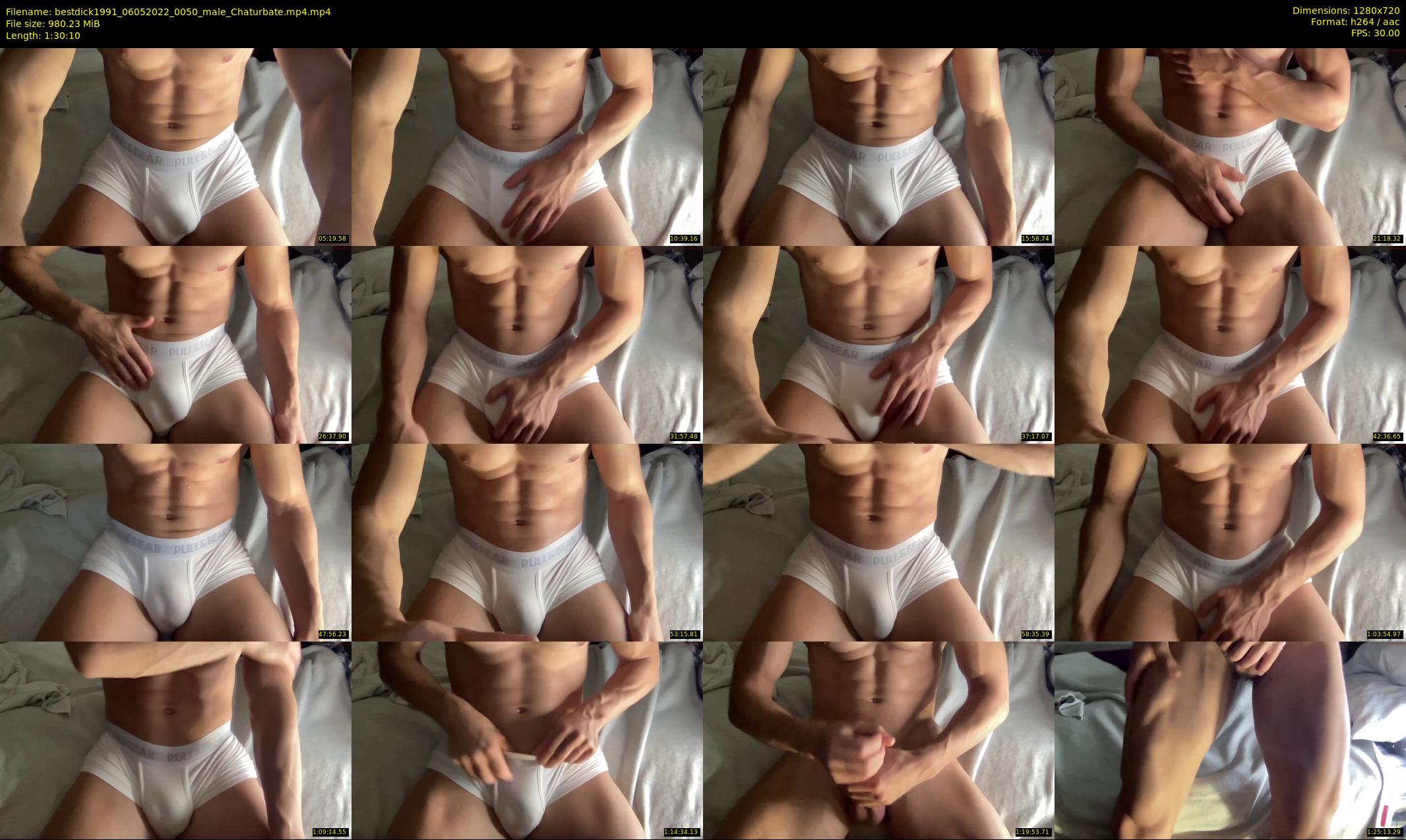 bestdick1991 — 91 minute Chaturbate male cam show recording, 720p, May 6, 2022