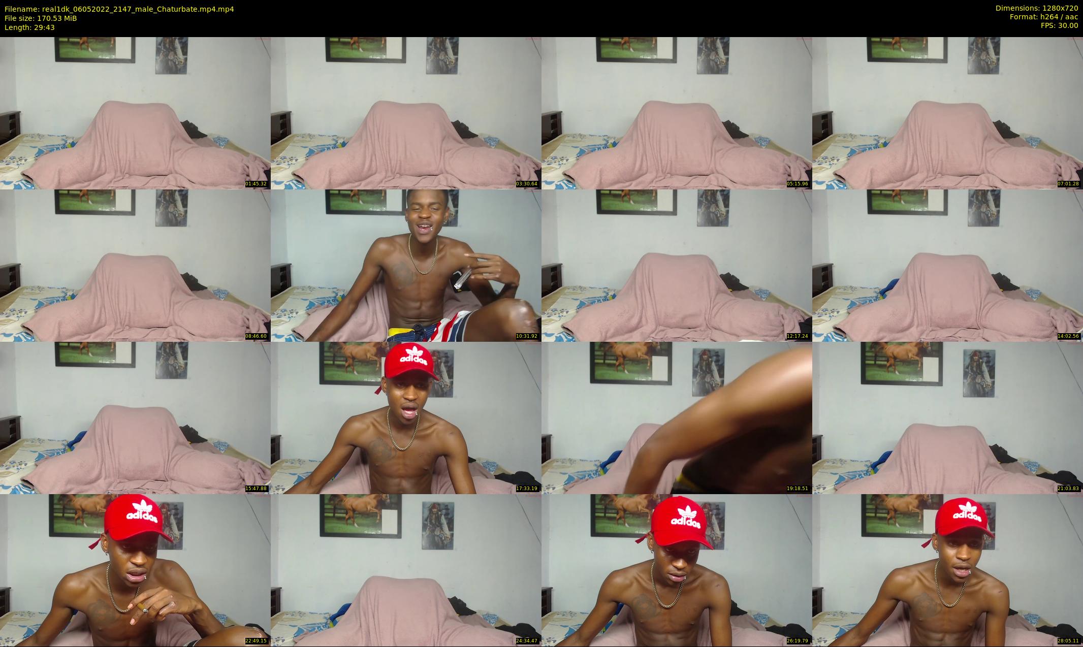 real1dk — 30 minute Chaturbate male cam show recording, 720p, May 6, 2022