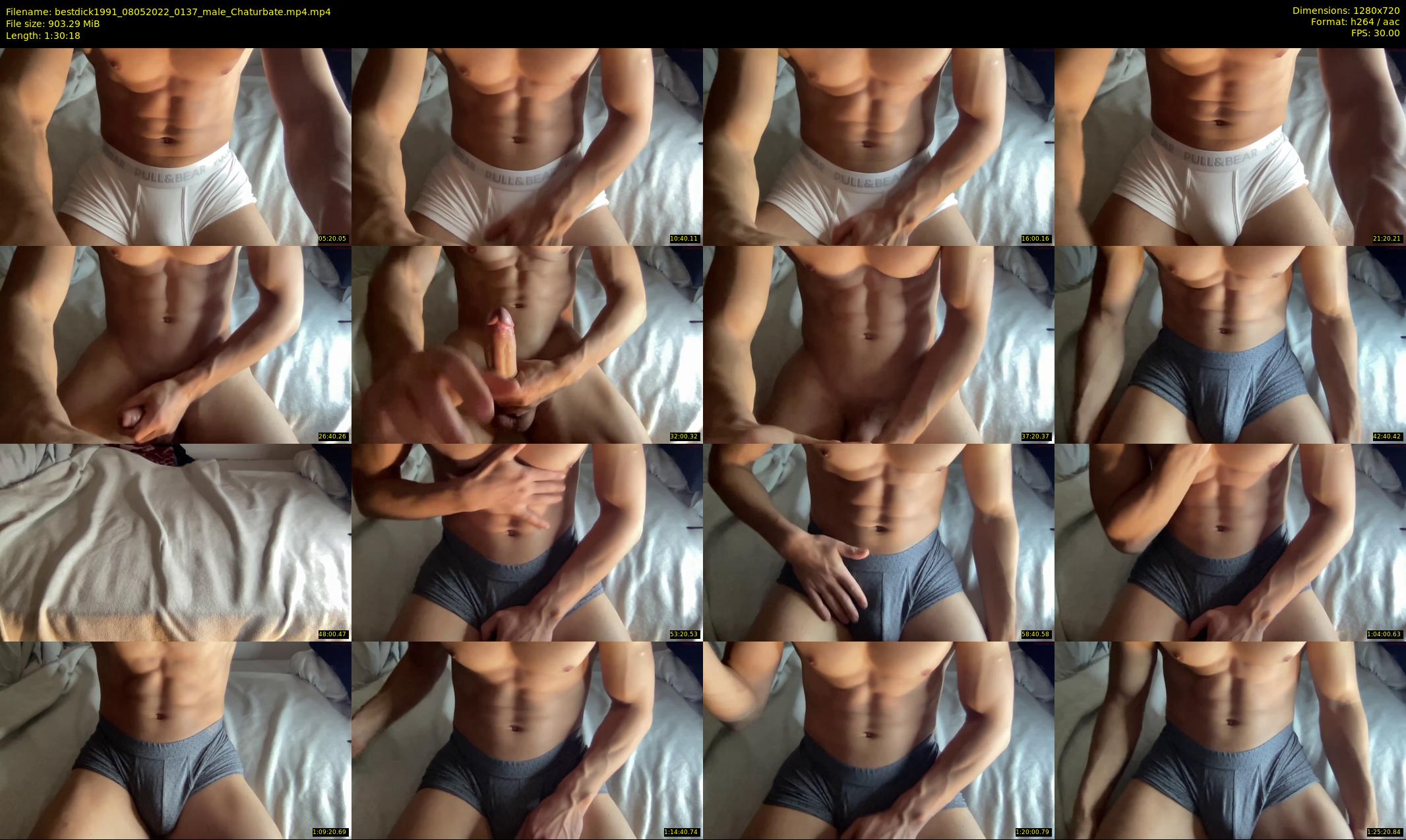 bestdick1991 — 91 minute Chaturbate male cam show recording, 720p, May 8, 2022