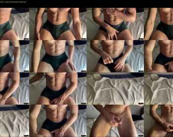 bestdick1991 — 27 minute Chaturbate male cam show recording, 720p, May 9, 2022