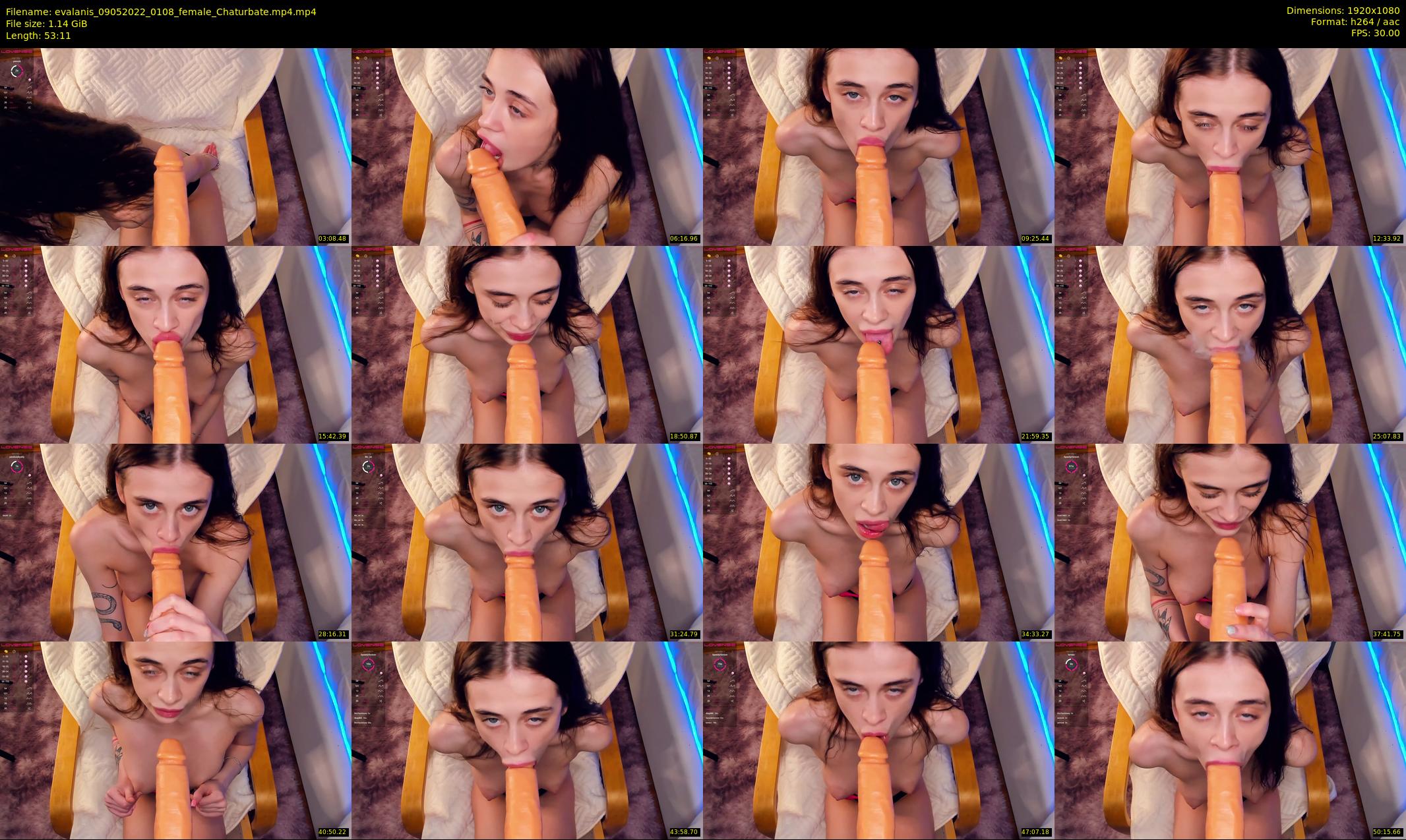 evalanis — 54 minute Chaturbate couple cam show recording, 1080p, May 9, 2022