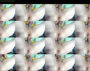 alphamasterjax — 3 minute Chaturbate male cam show recording, 720p, May 9, 2022