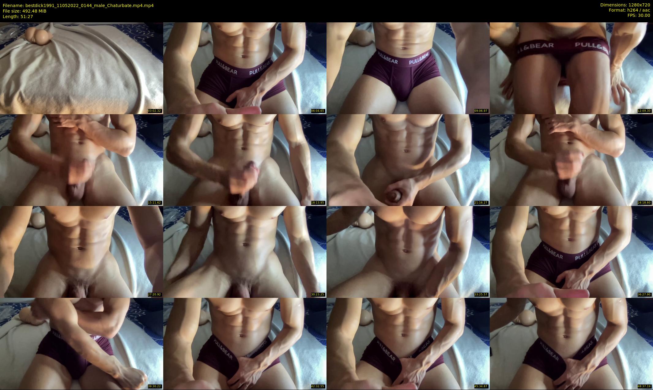 bestdick1991 — 52 minute Chaturbate male cam show recording, 720p, May 11, 2022