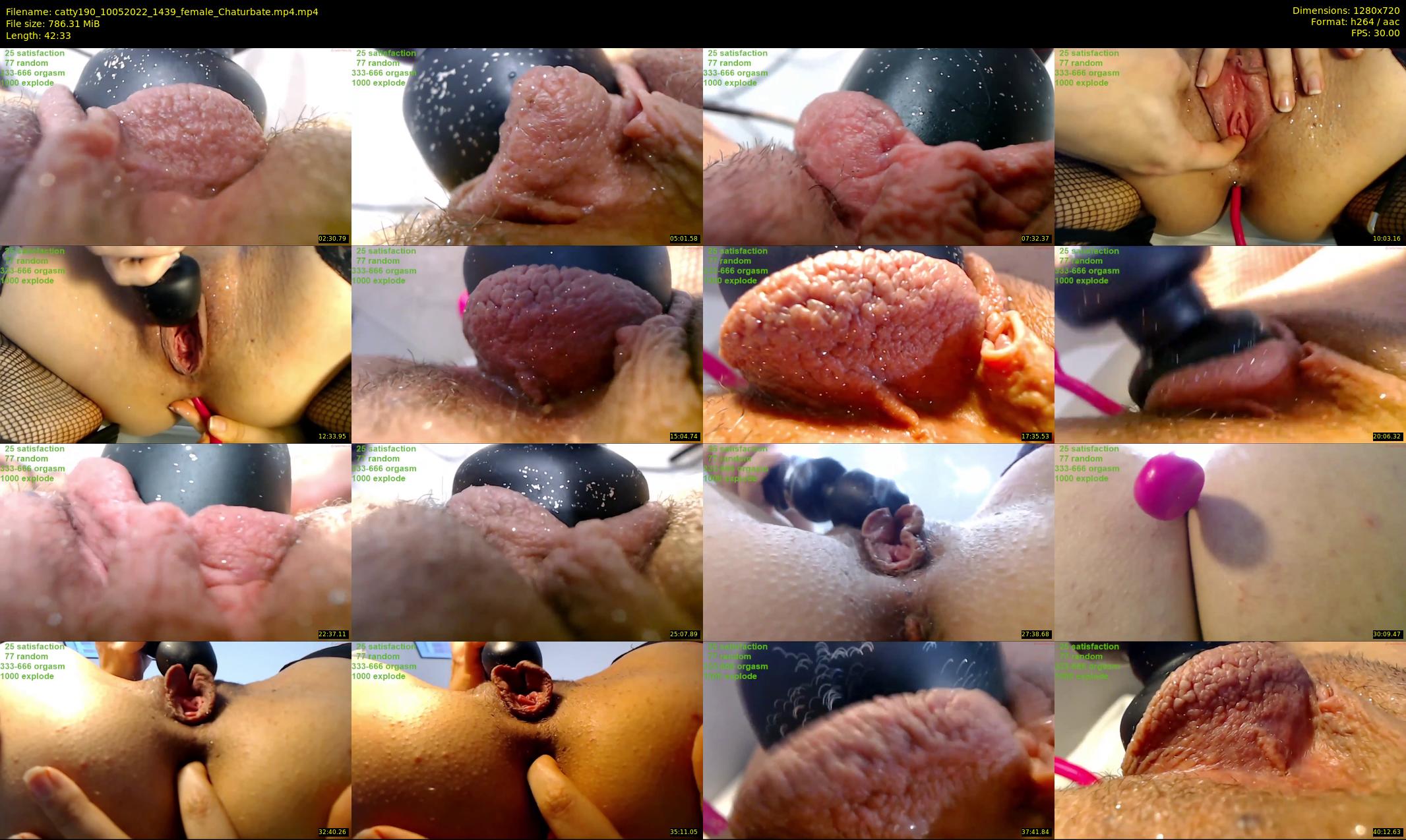 catty190 — 43 minute Chaturbate female cam show recording, 720p, May 10, 2022