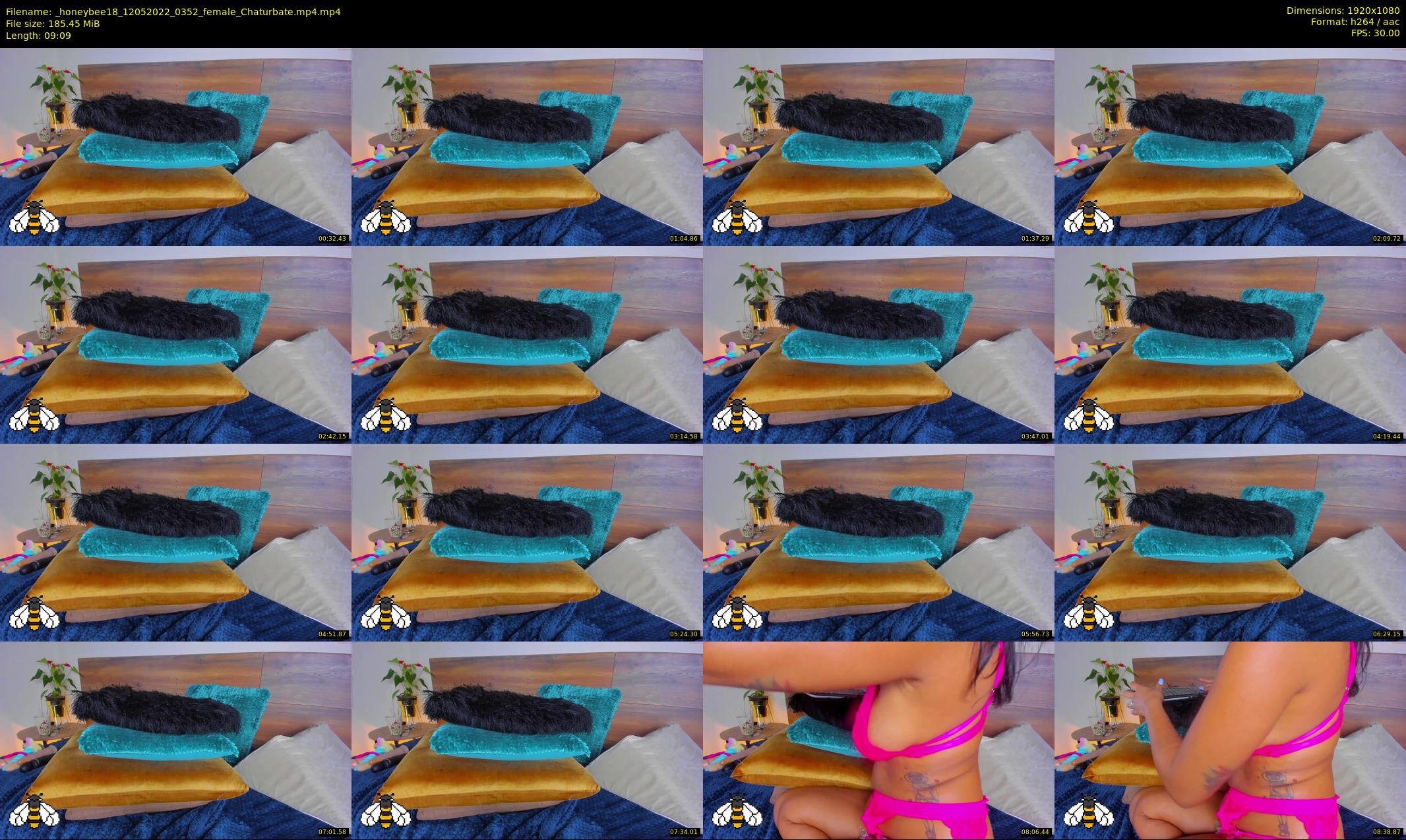 _honeybee18 — 10 minute Chaturbate female cam show recording, 1080p, May 12, 2022