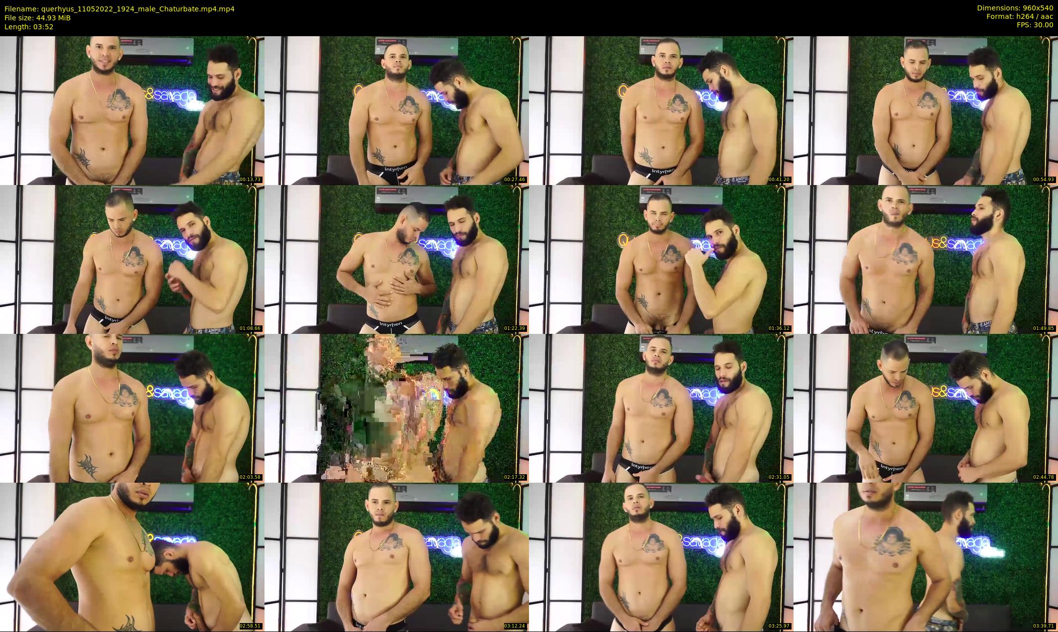 querhyus — 4 minute Chaturbate male cam show recording, 480p, May 11, 2022