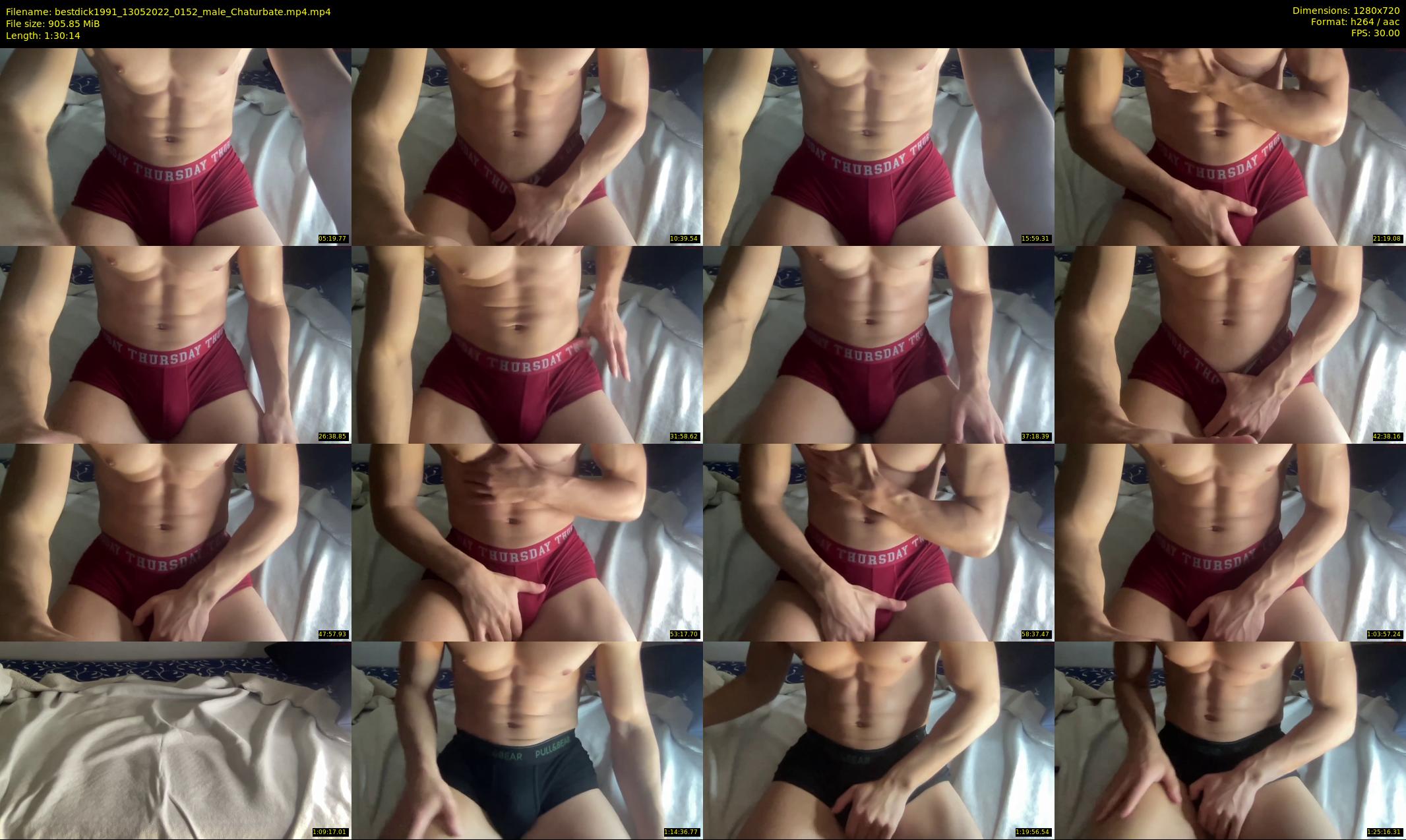 bestdick1991 — 91 minute Chaturbate male cam show recording, 720p, May 13, 2022