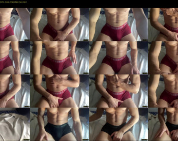 bestdick1991 — 91 minute Chaturbate male cam show recording, 720p, May 13, 2022
