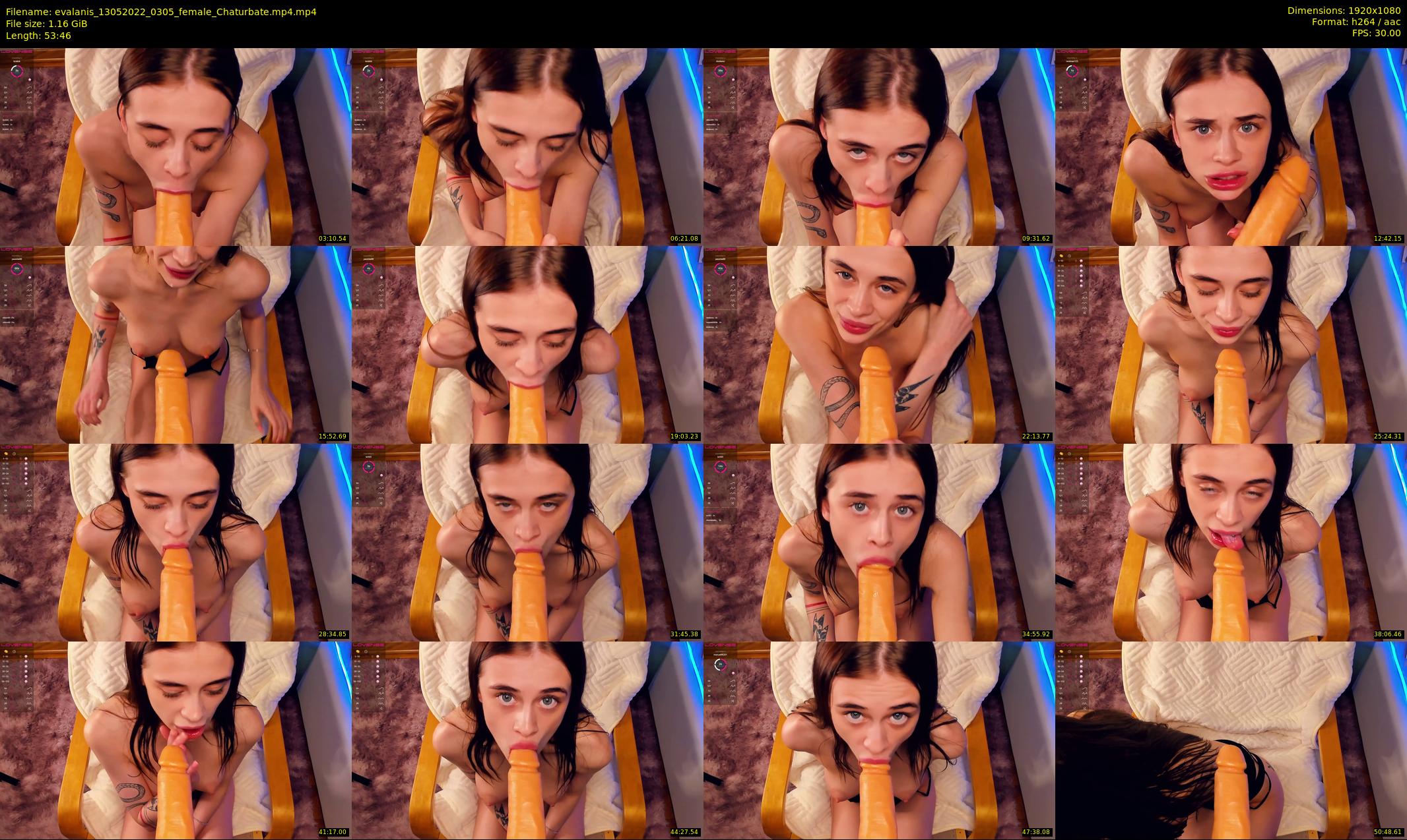 evalanis — 54 minute Chaturbate couple cam show recording, 1080p, May 13, 2022