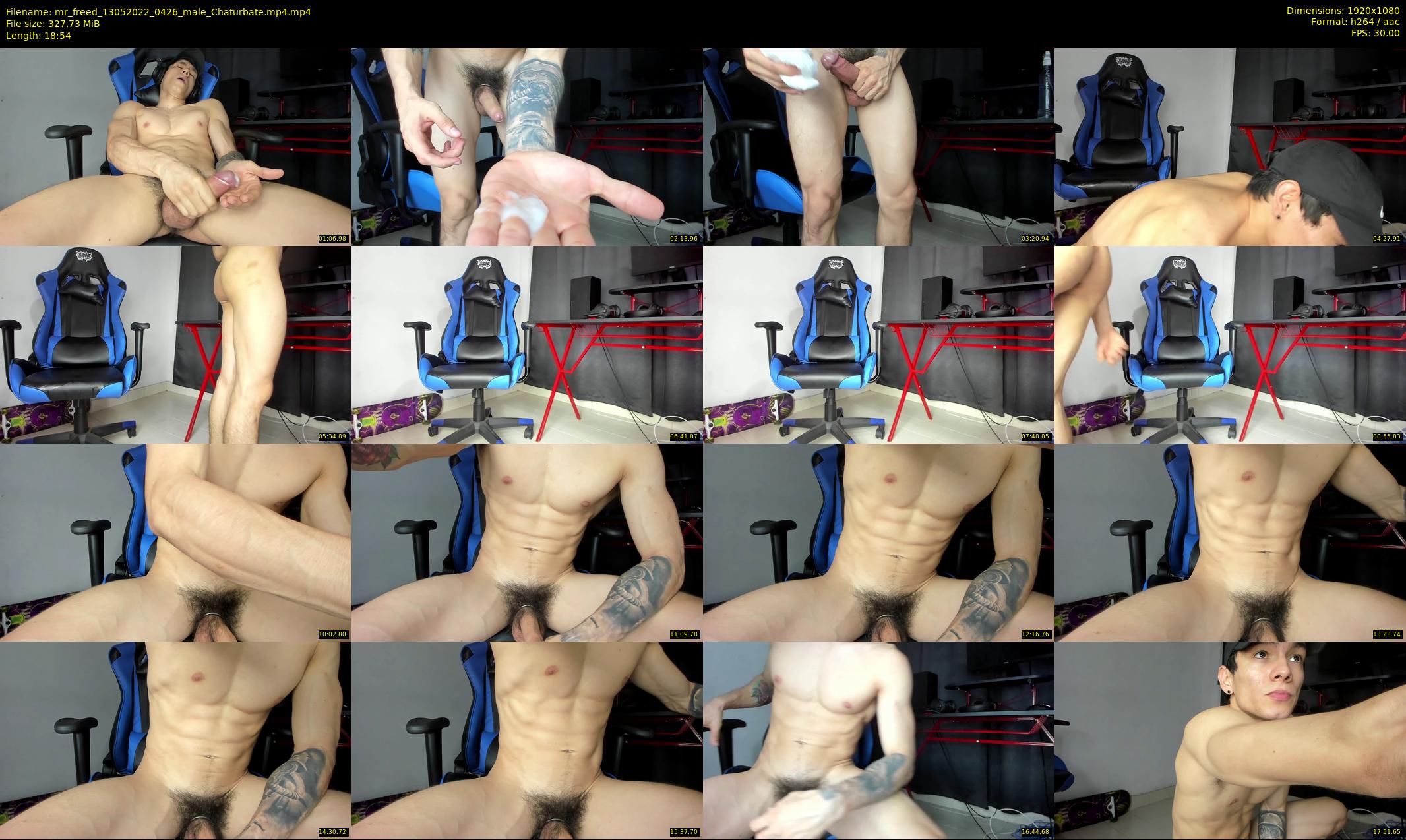 mr_freed — 19 minute Chaturbate male cam show recording, 1080p, May 13, 2022
