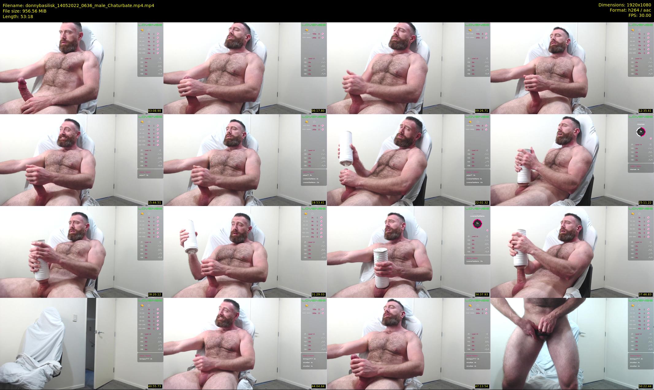 donnybasilisk — 54 minute Chaturbate male cam show recording, 1080p, May 14, 2022