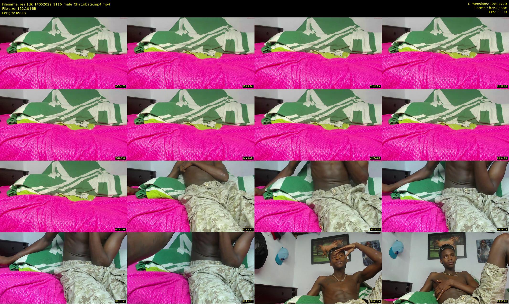 real1dk — 10 minute Chaturbate male cam show recording, 720p, May 14, 2022