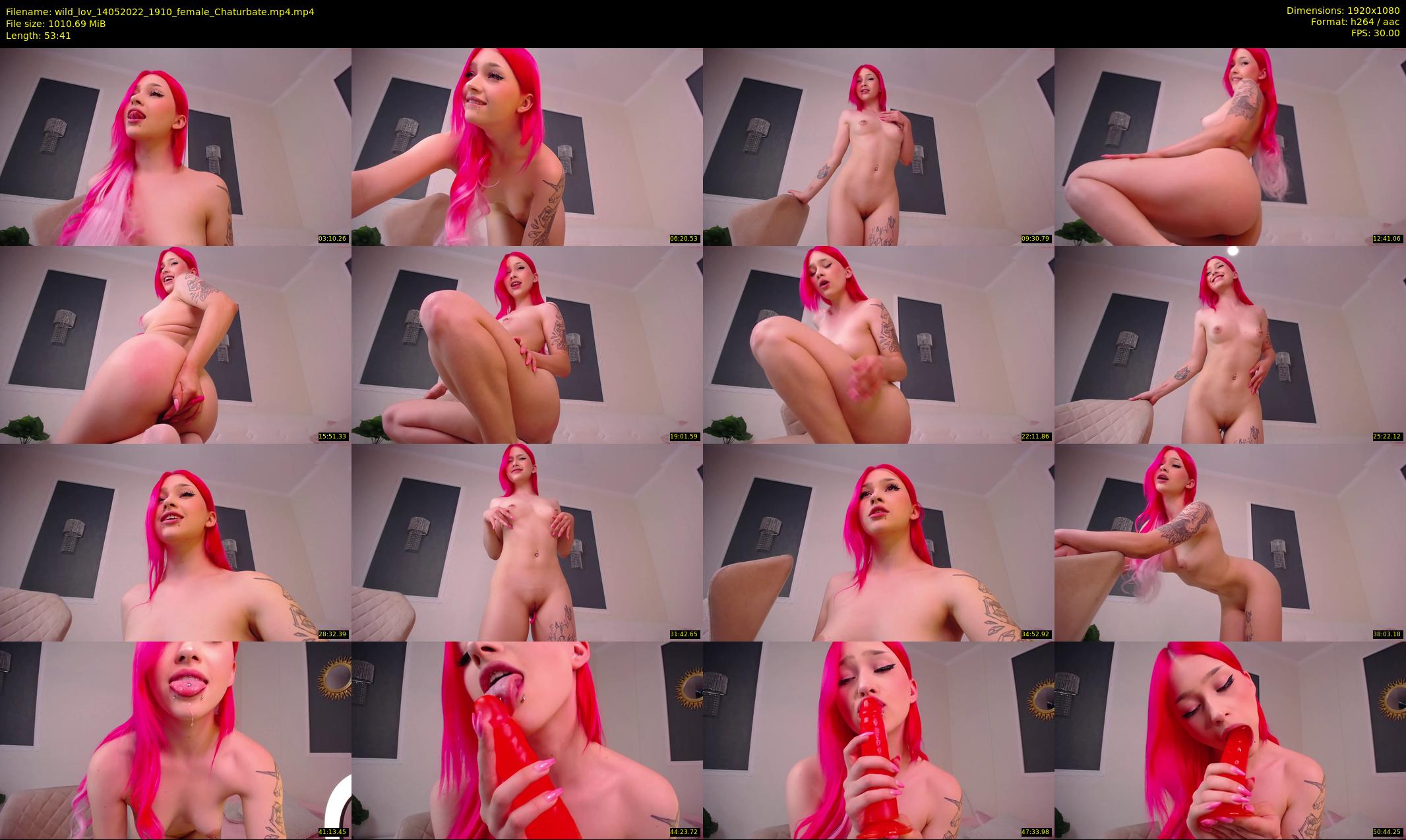 wild_lov — 54 minute Chaturbate female cam show recording, 1080p, May 14, 2022