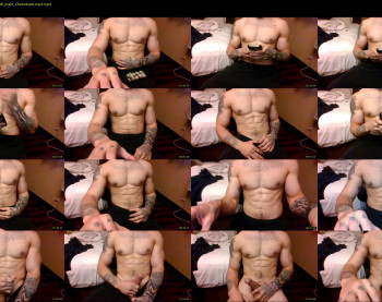 evancage — 15 minute Chaturbate male cam show recording, 480p, May 15, 2022