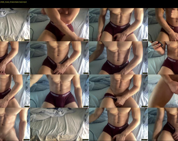 bestdick1991 — 98 minute Chaturbate male cam show recording, 720p, May 16, 2022