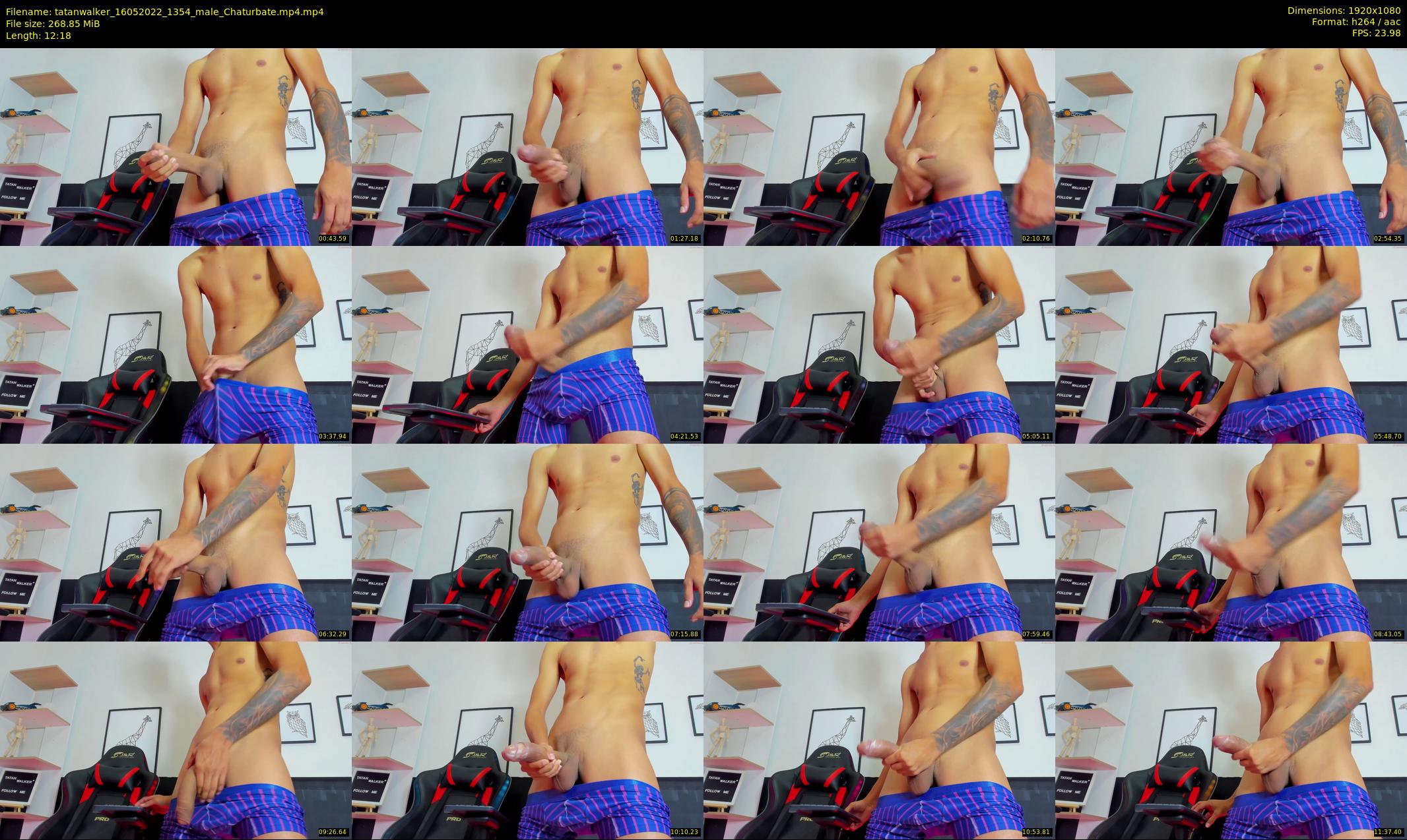 tatanwalker — 13 minute Chaturbate male cam show recording, 1080p, May 16, 2022