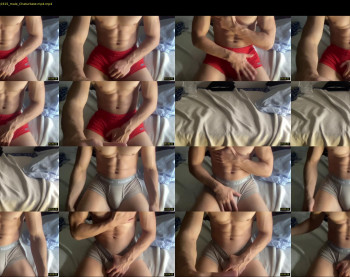 bestdick1991 — 19 minute Chaturbate male cam show recording, 720p, May 18, 2022
