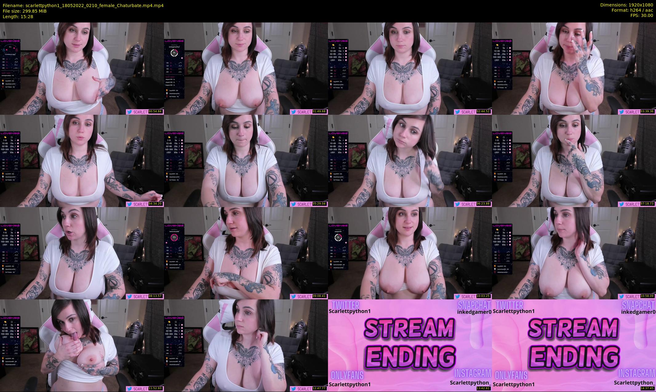 scarlettpython1 — 16 minute Chaturbate female cam show recording, 1080p, May 18, 2022