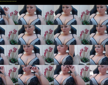 schoolteach — 14 minute Chaturbate female cam show recording, 480p, May 17, 2022