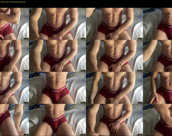 bestdick1991 — 28 minute Chaturbate male cam show recording, 720p, May 18, 2022