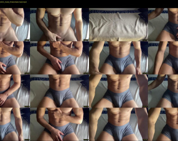 bestdick1991 — 9 minute Chaturbate male cam show recording, 720p, May 19, 2022