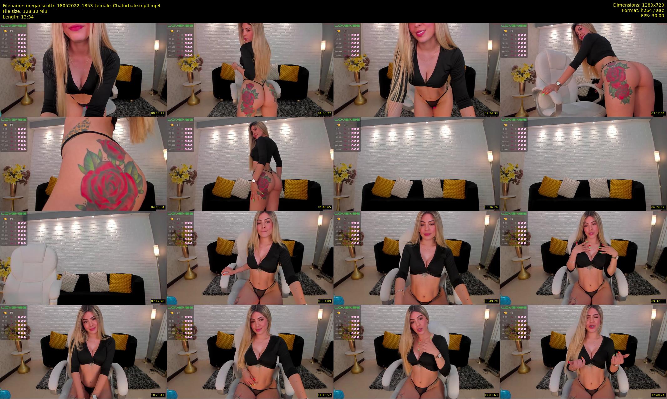 meganscottx — 14 minute Chaturbate female cam show recording, 720p, May 18, 2022