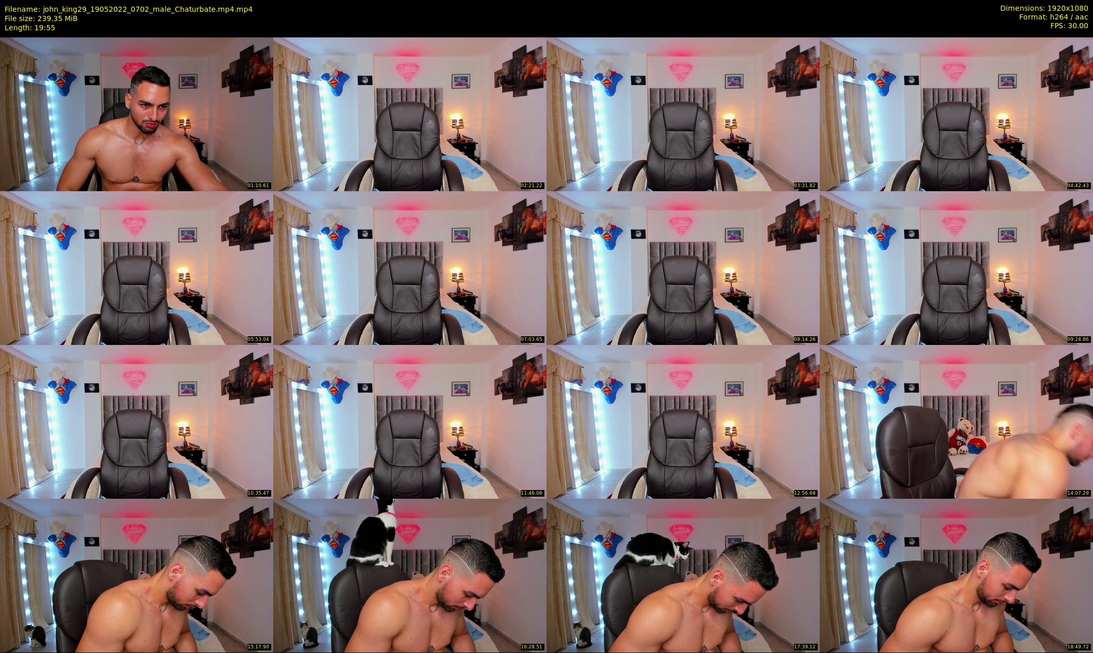john_king29 — 20 minute Chaturbate male cam show recording, 1080p, May 19, 2022