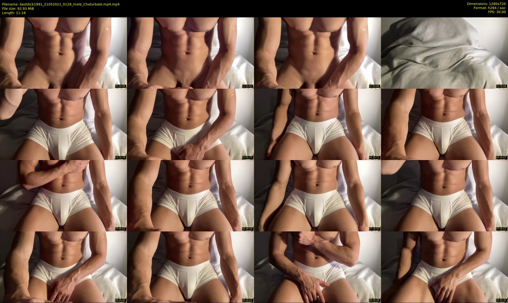 bestdick1991 — 12 minute Chaturbate male cam show recording, 720p, May 21, 2022