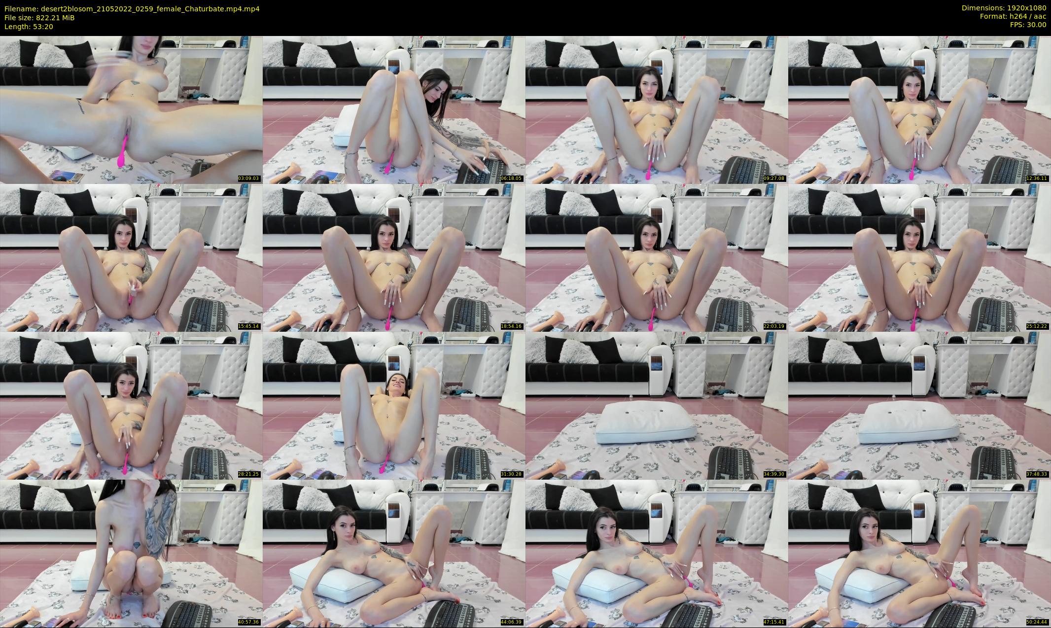 desert2blosom — 54 minute Chaturbate female cam show recording, 1080p, May 21, 2022