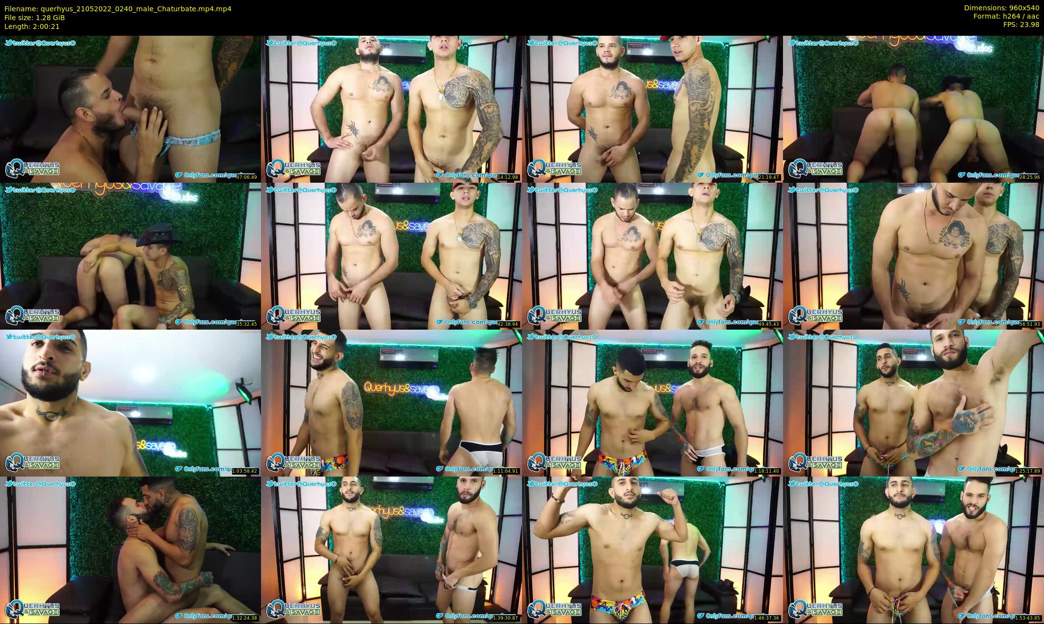 querhyus — 121 minute Chaturbate male cam show recording, 480p, May 21, 2022