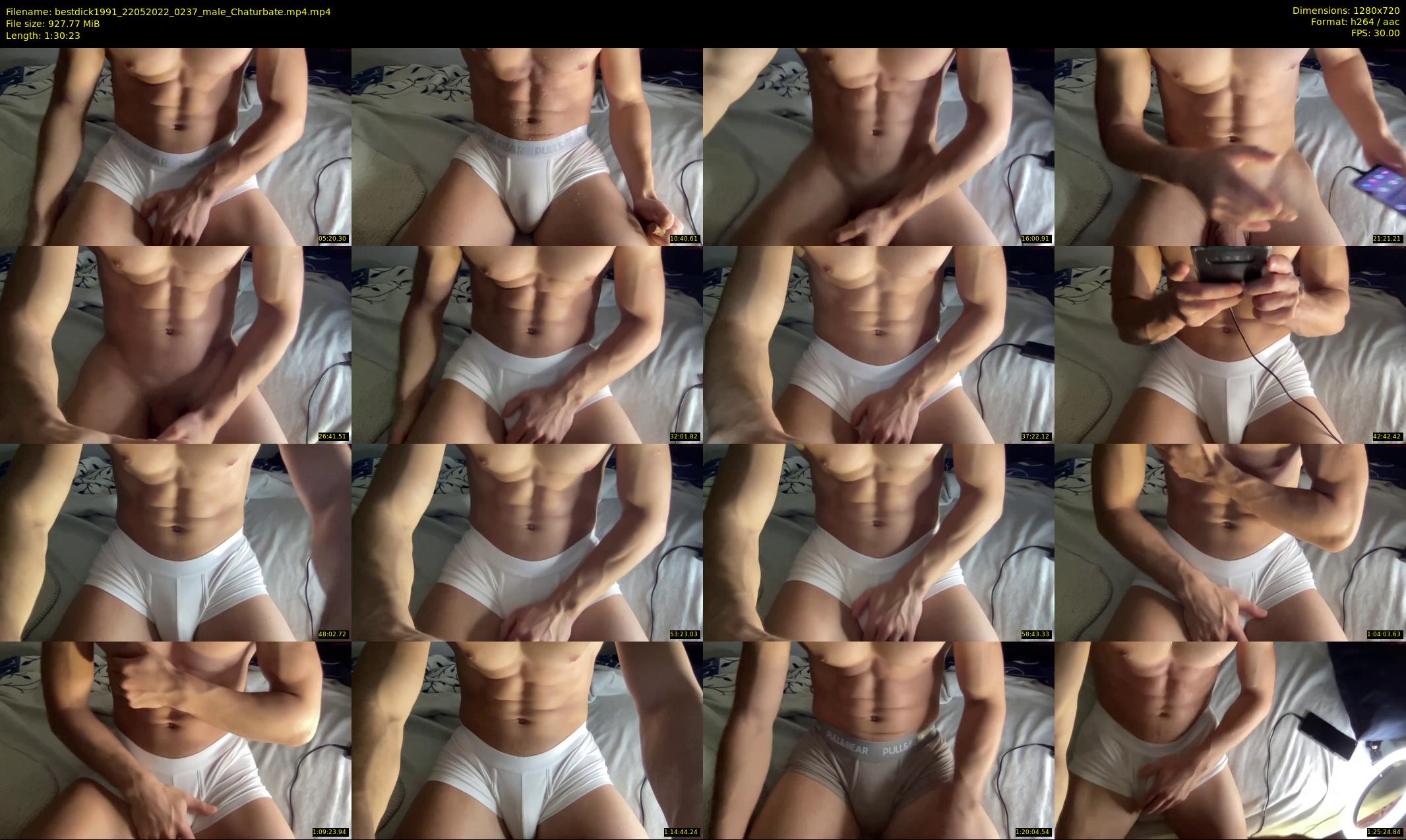 bestdick1991 — 91 minute Chaturbate male cam show recording, 720p, May 22, 2022