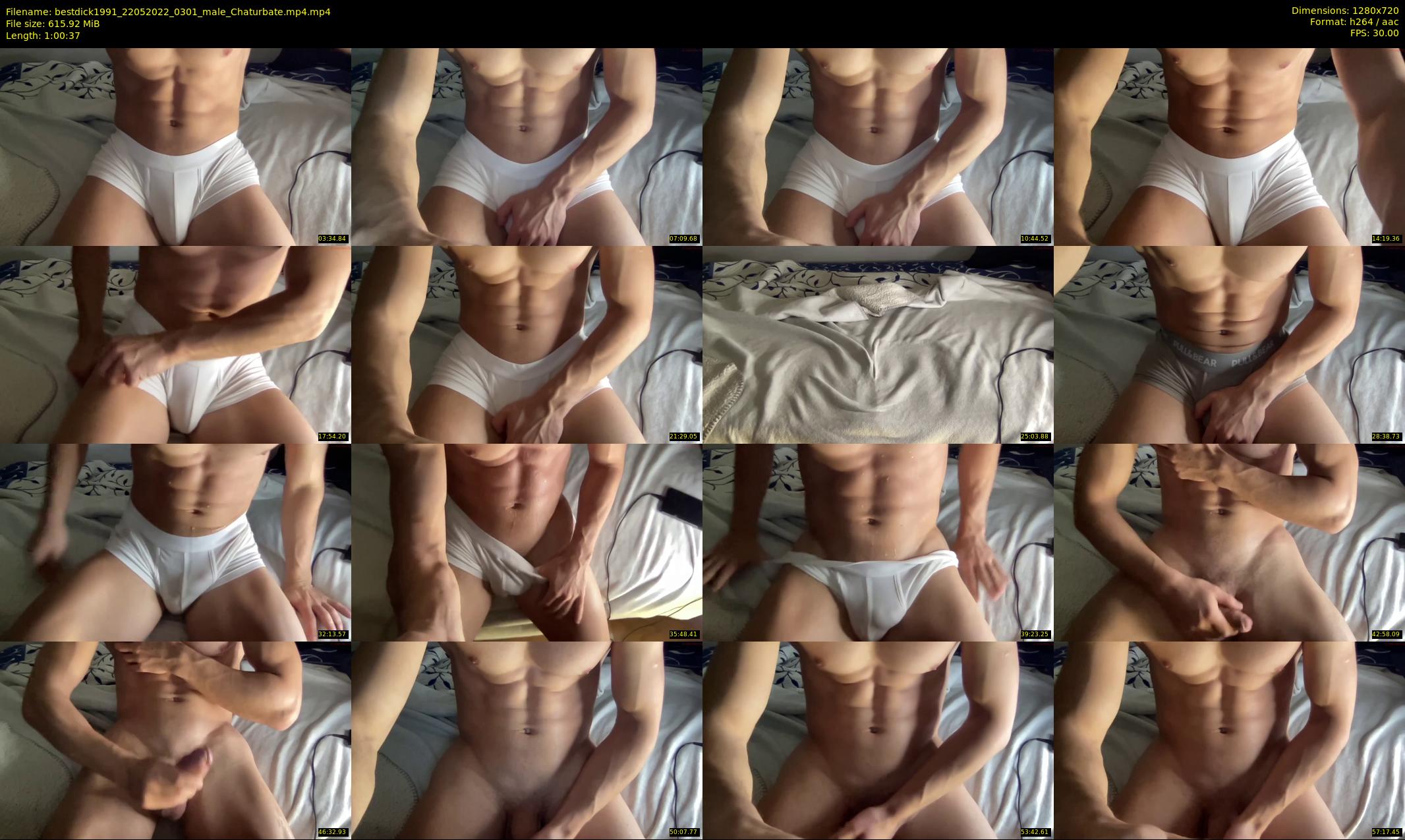 bestdick1991 — 61 minute Chaturbate male cam show recording, 720p, May 22, 2022