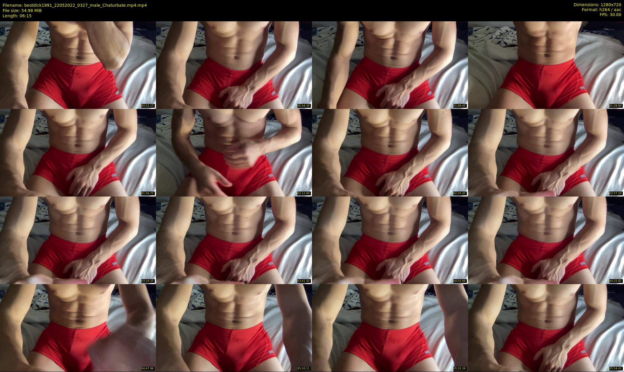 bestdick1991 — 7 minute Chaturbate male cam show recording, 720p, May 22, 2022