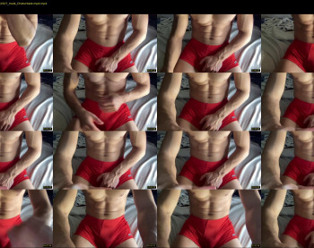 bestdick1991 — 7 minute Chaturbate male cam show recording, 720p, May 22, 2022
