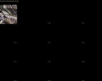 honeyand_thebear — 23 minute Chaturbate couple cam show recording, 1080p, May 21, 2022