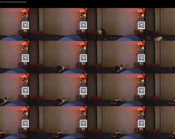 jeniferlovex — 13 minute Chaturbate female cam show recording, 1080p, May 21, 2022