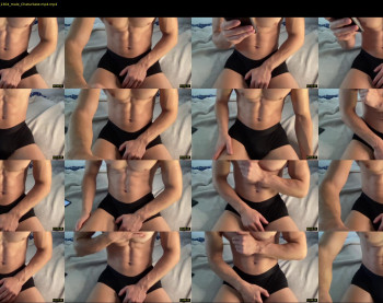 bestdick1991 — 15 minute Chaturbate male cam show recording, 720p, May 23, 2022